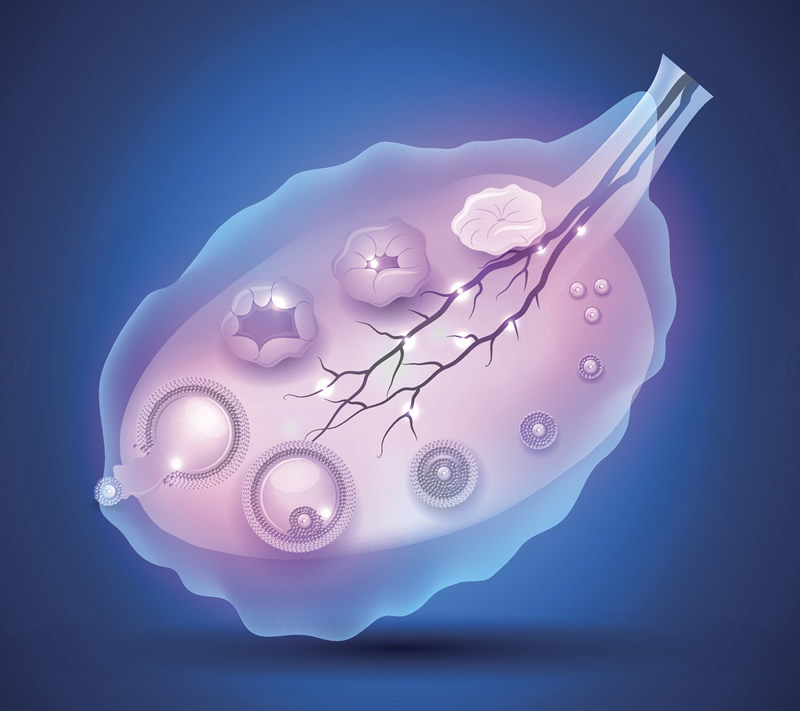 2026年海口试管医院与卵泡调理机构综合实力榜：海南医学院附属医院领衔，附本地高医生与费用明细